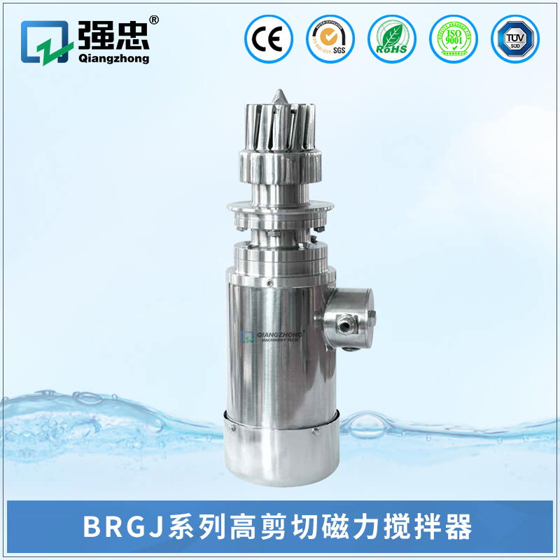 BRGJ德信网页版_德信(中国)高剪切磁力搅拌器